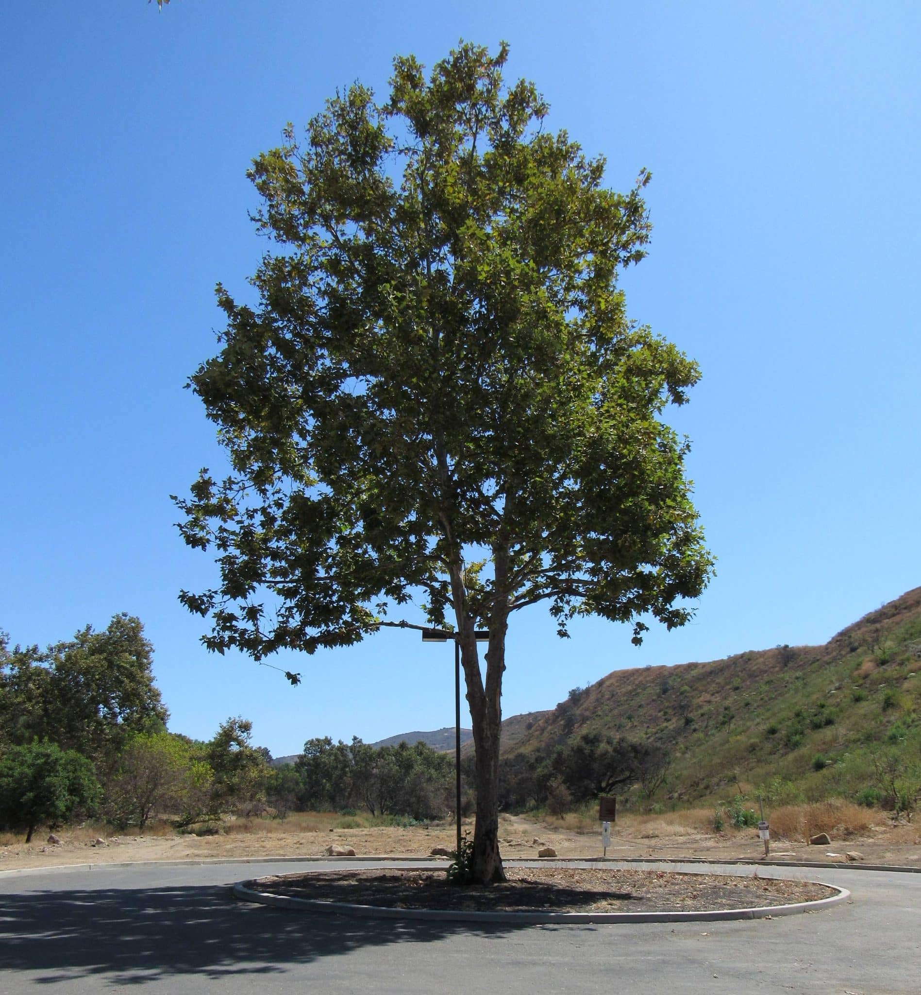 Simi Valley Challenger Park